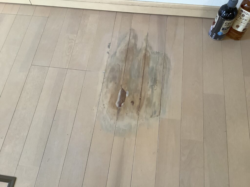 floor 7 before